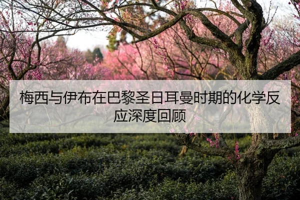 梅西与伊布在巴黎圣日耳曼时期的化学反应深度回顾